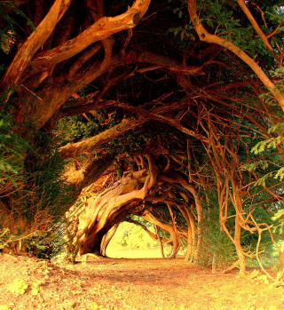 Illustration for article titled These Extraordinary Tunnels Look Like Gateways to Other Worlds